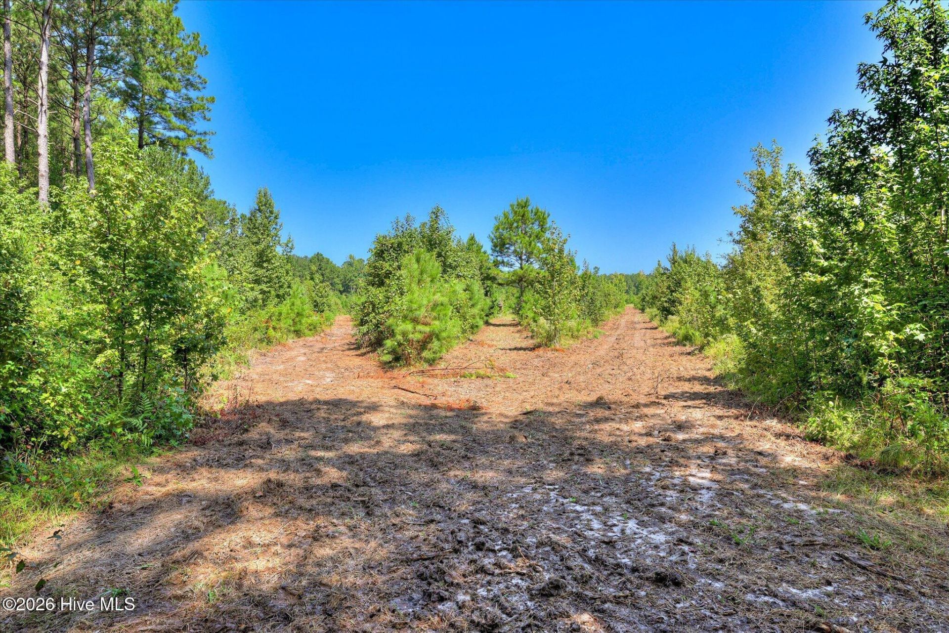 170 Landing Road Photo 15