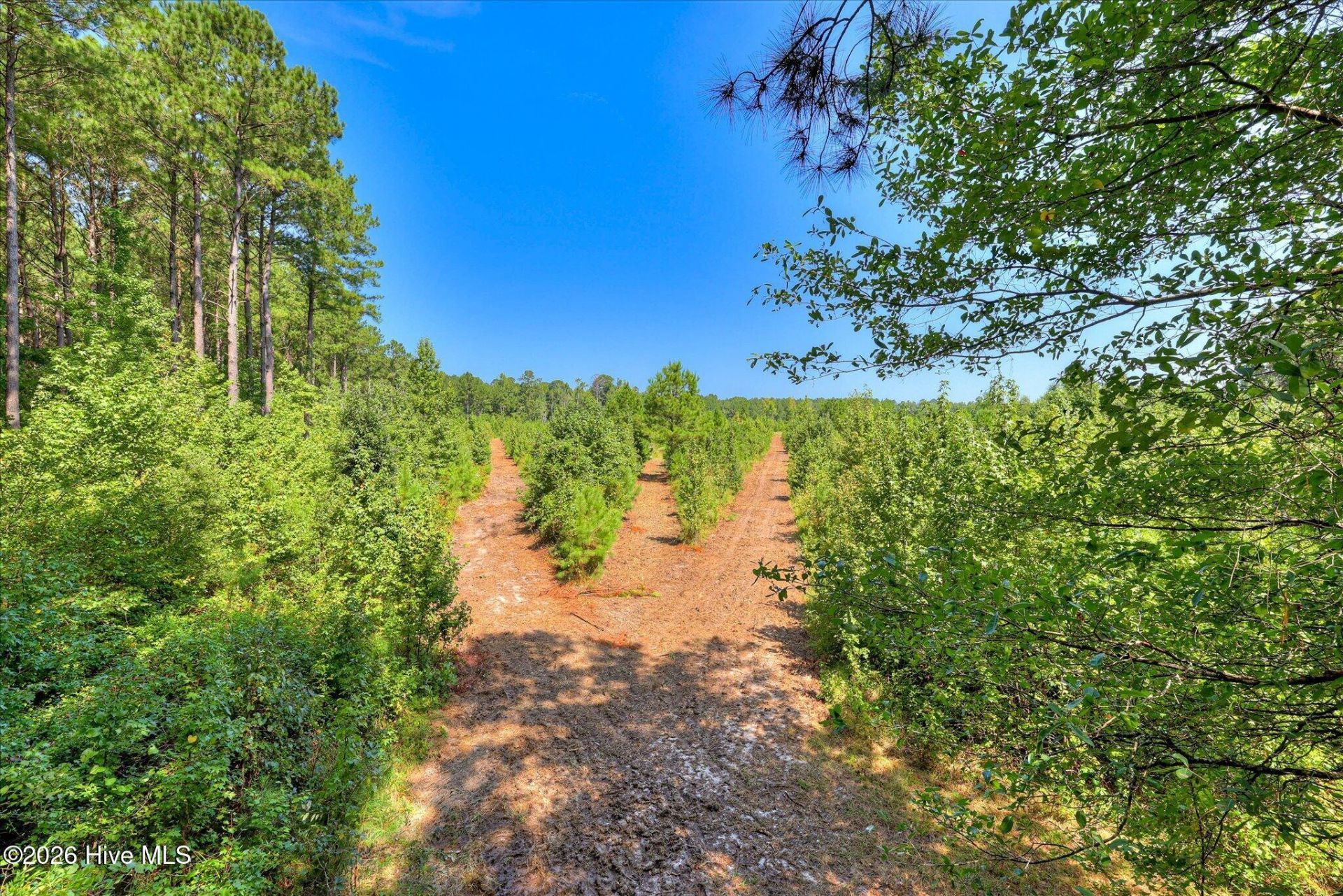 170 Landing Road Photo 16