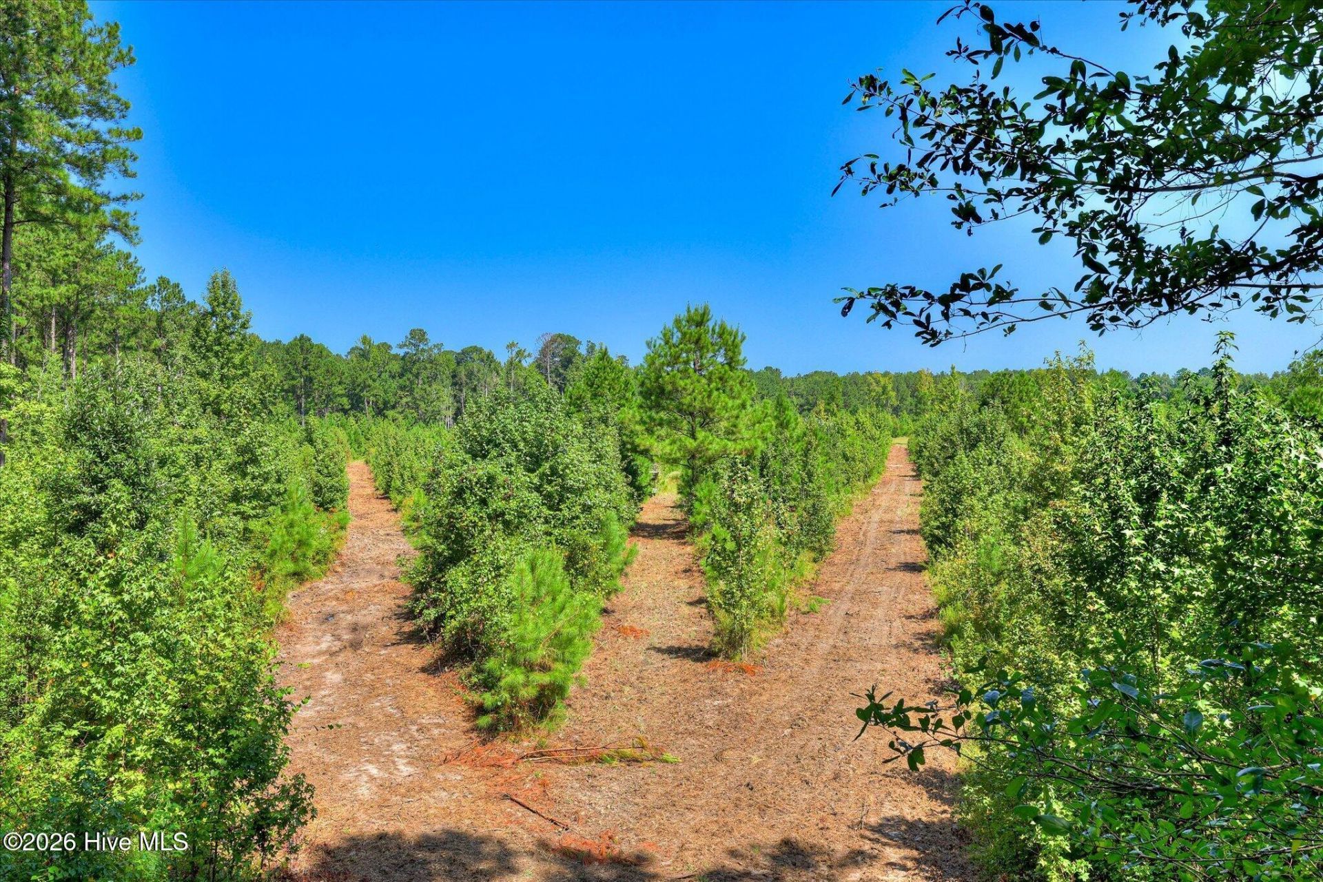 170 Landing Road Photo 17