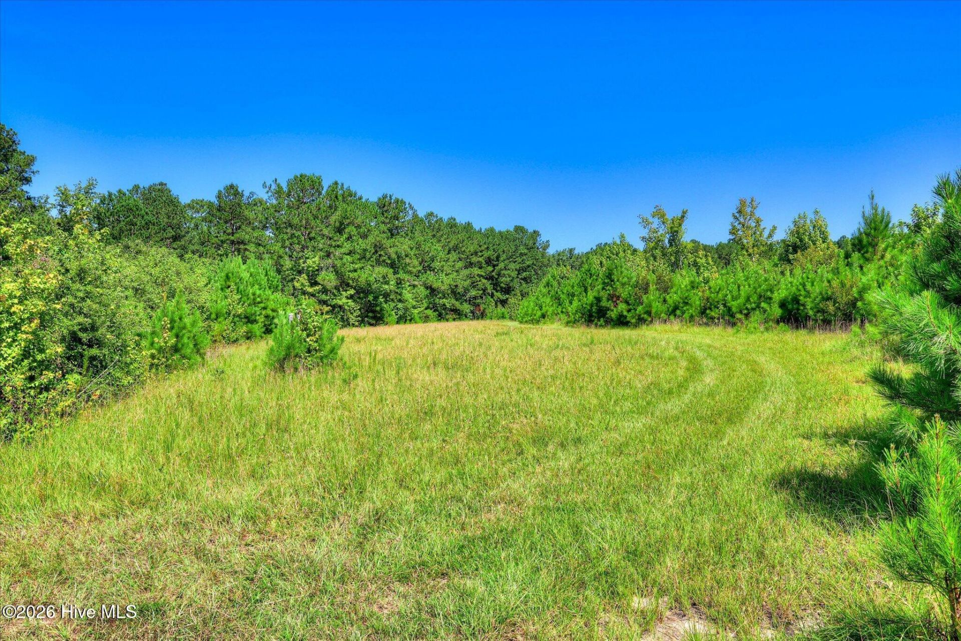 170 Landing Road Photo 20