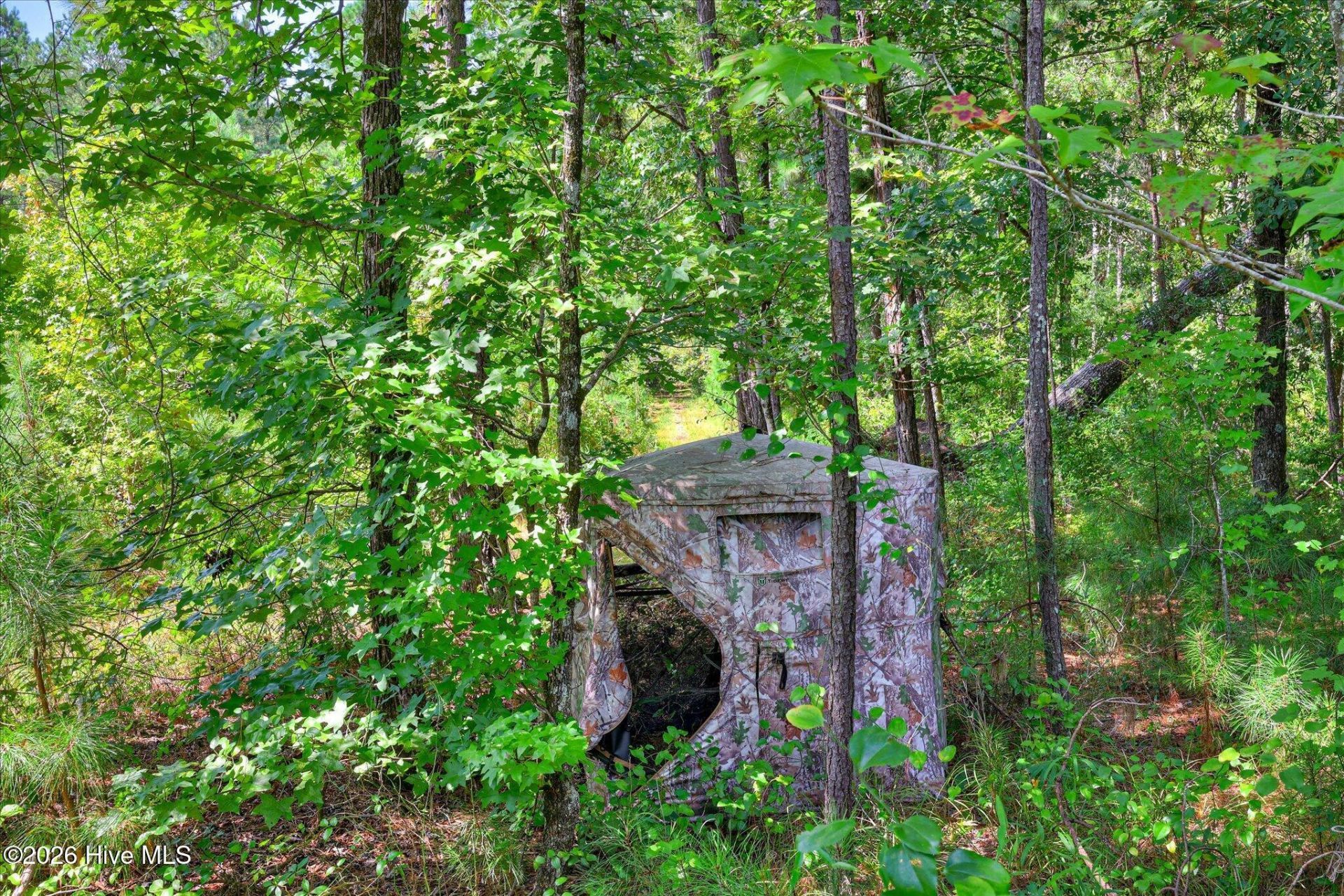 170 Landing Road Photo 21