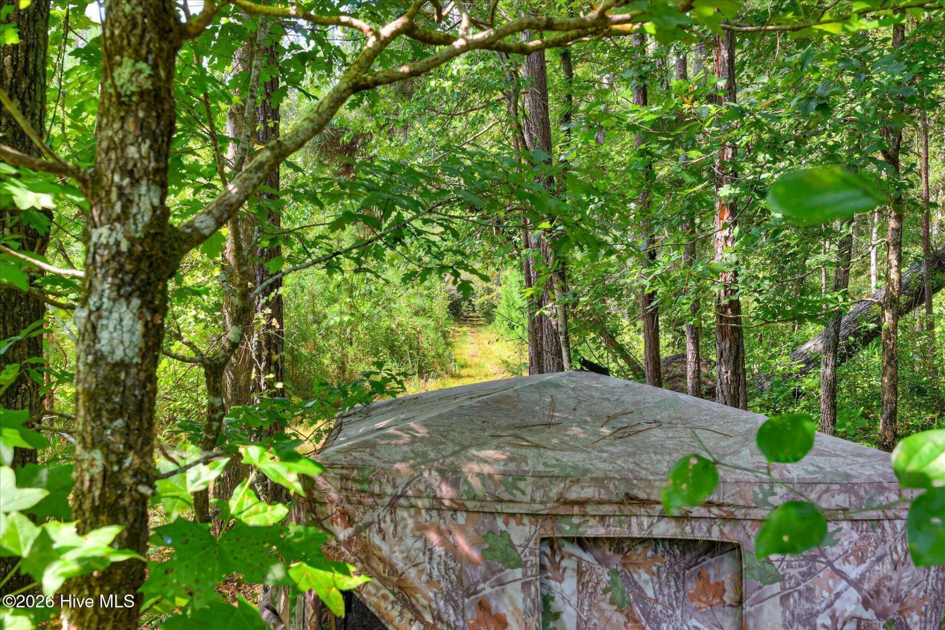 170 Landing Road Photo 22