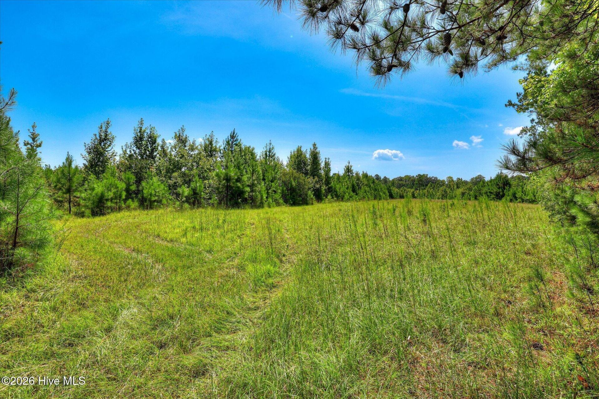 170 Landing Road Photo 24