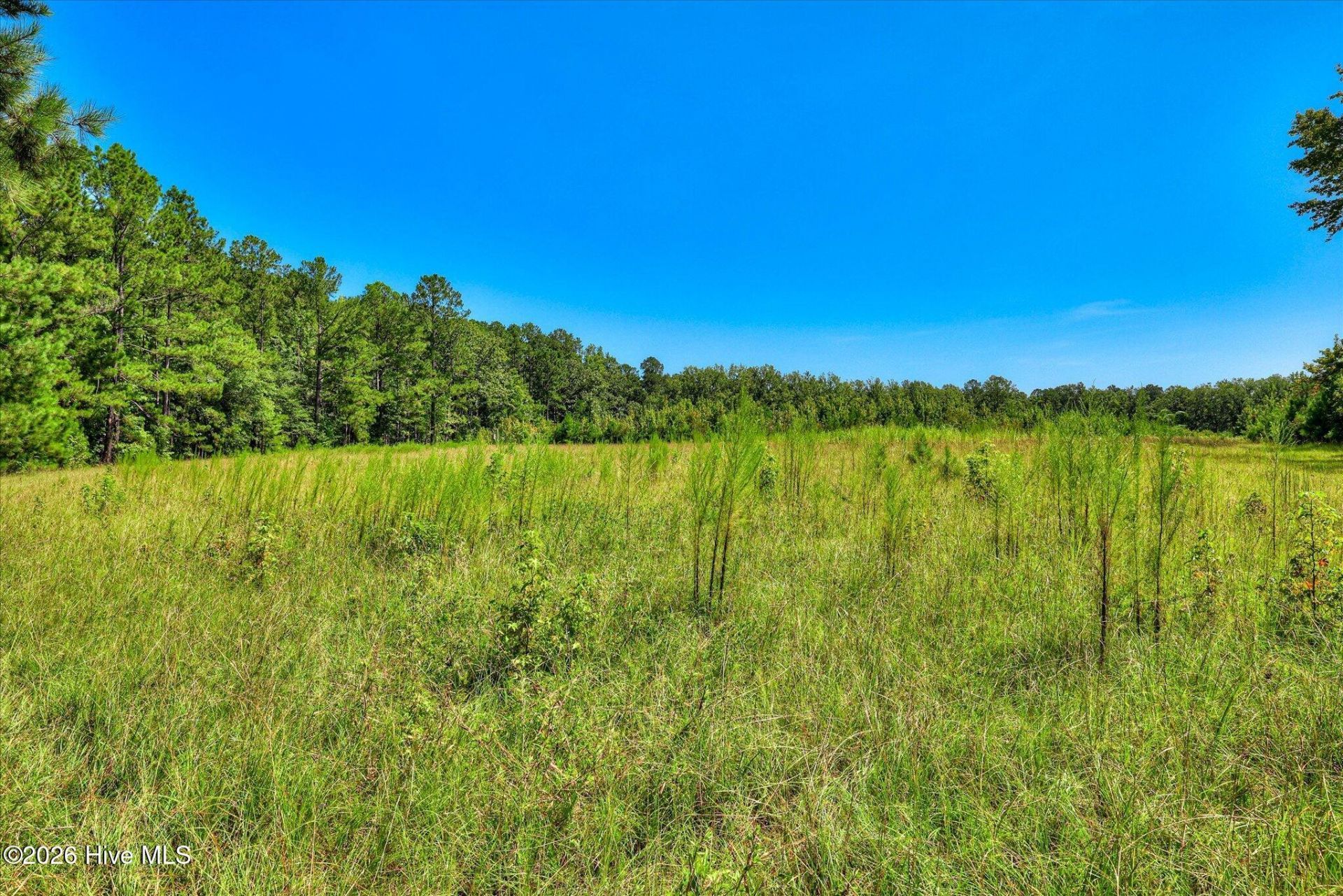 170 Landing Road Photo 25