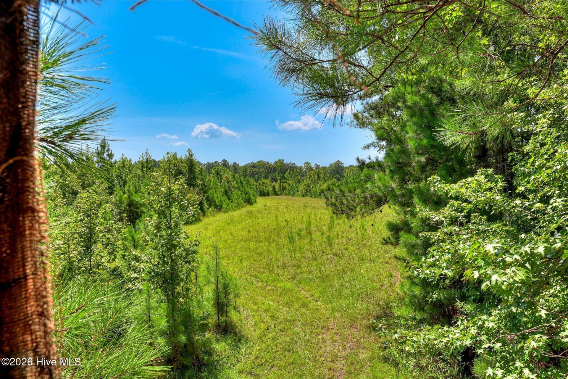 170 Landing Road Photo 26
