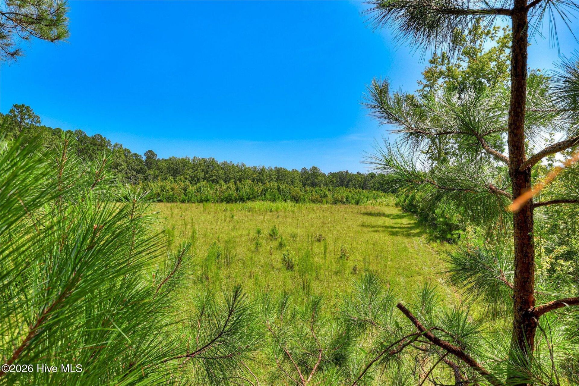 170 Landing Road Photo 28