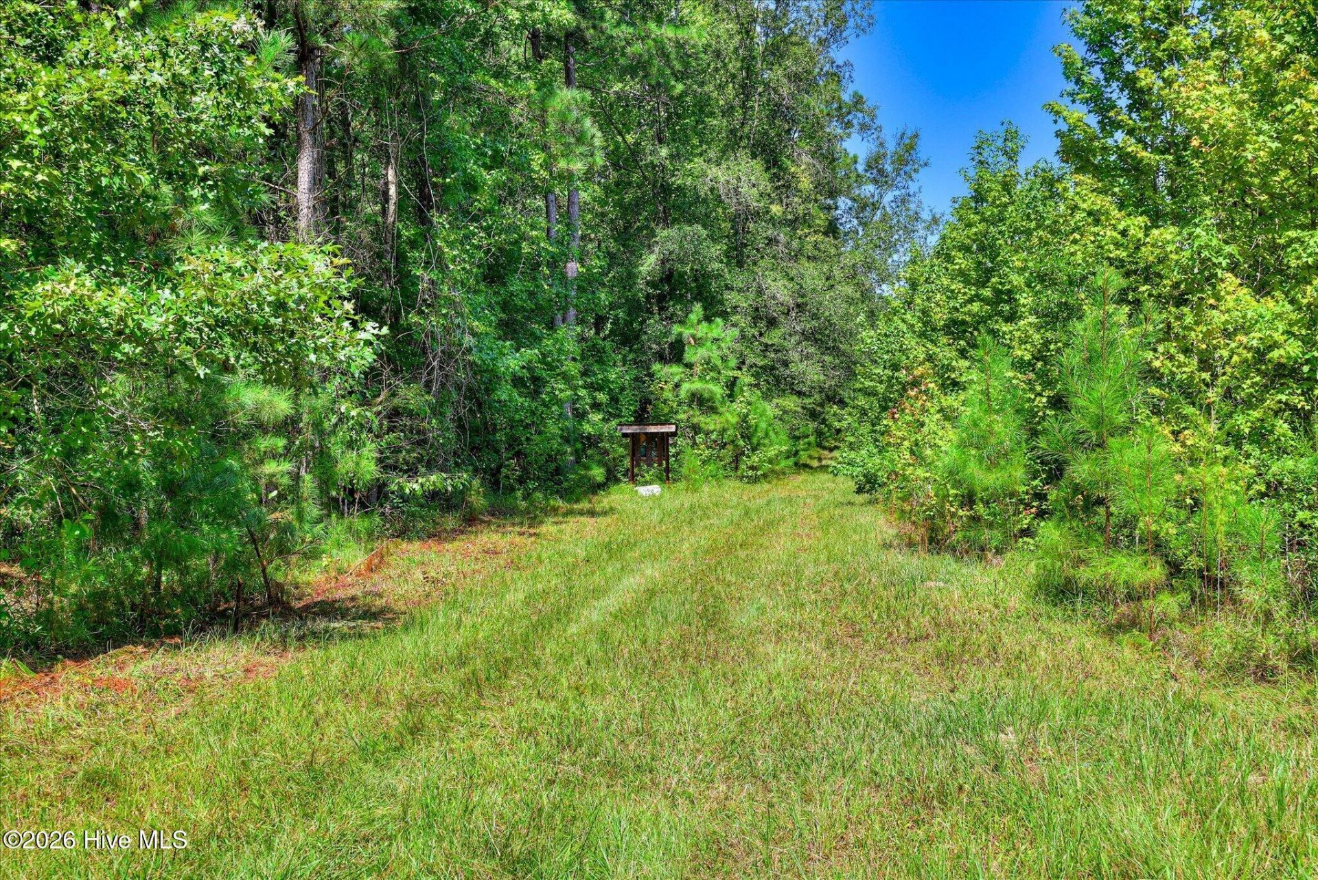 170 Landing Road Photo 29