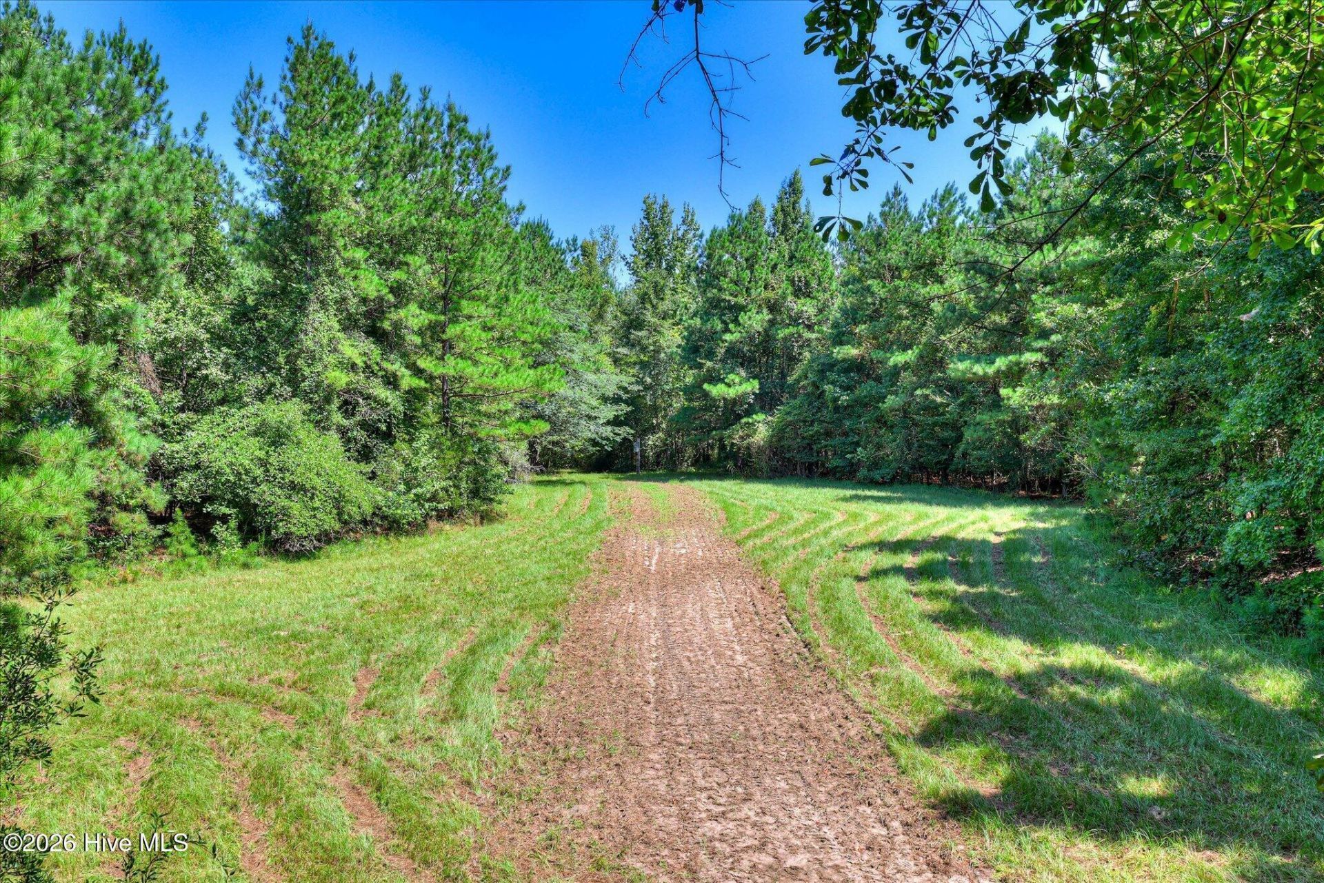 170 Landing Road Photo 36