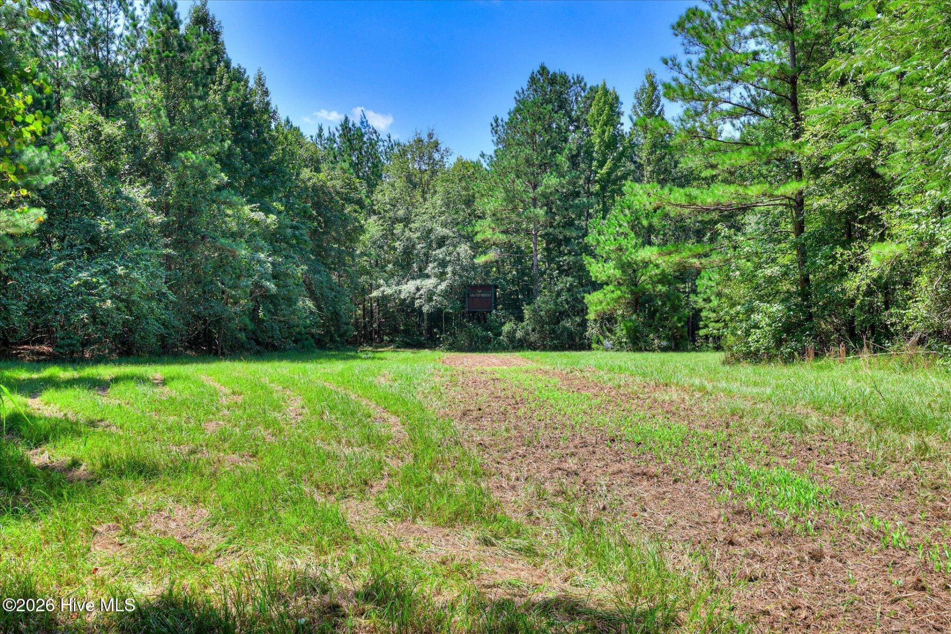 170 Landing Road Photo 37
