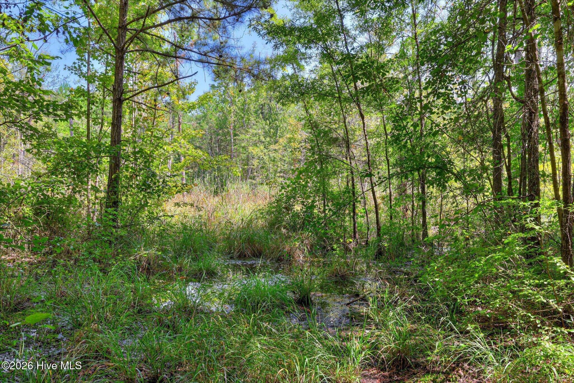 170 Landing Road Photo 38