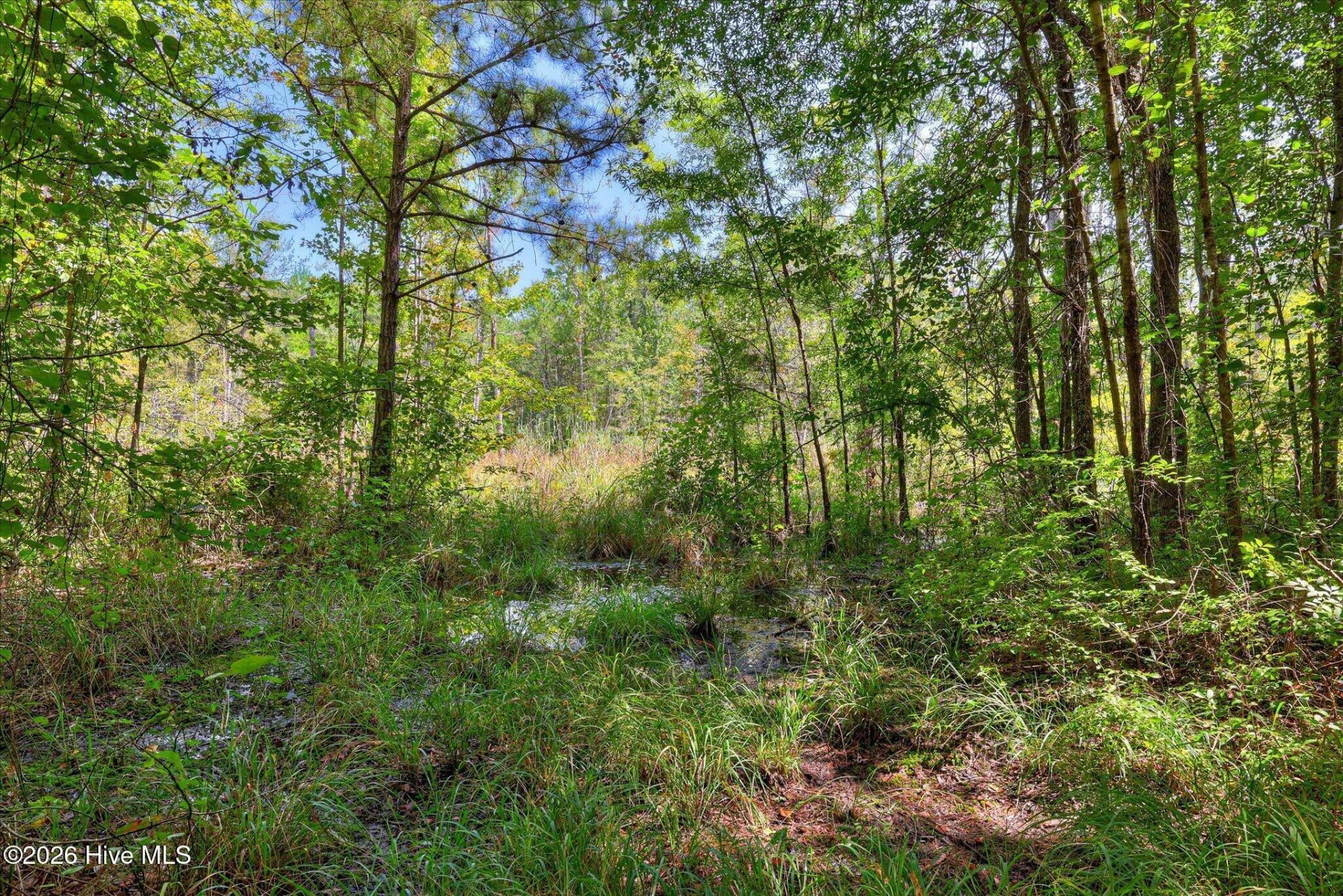 170 Landing Road Photo 39