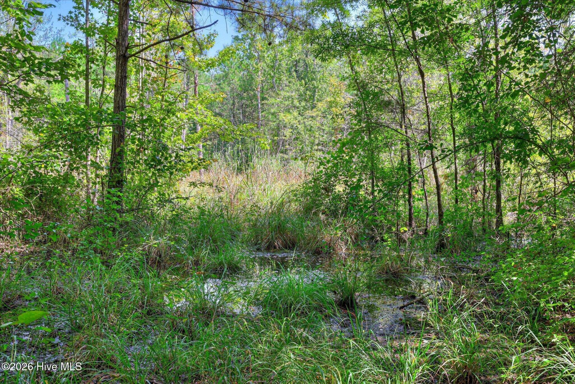 170 Landing Road Photo 40