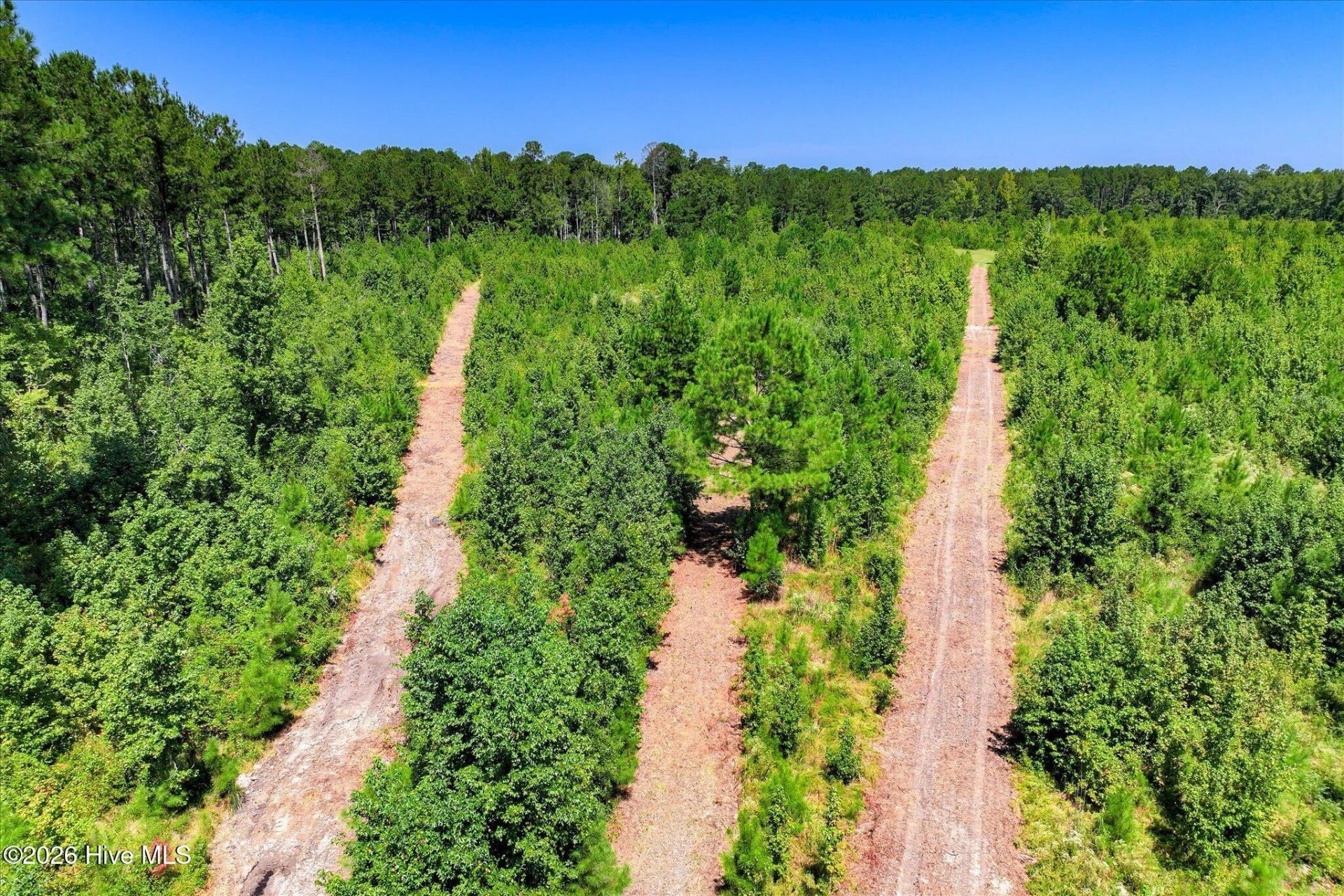 170 Landing Road Photo 54