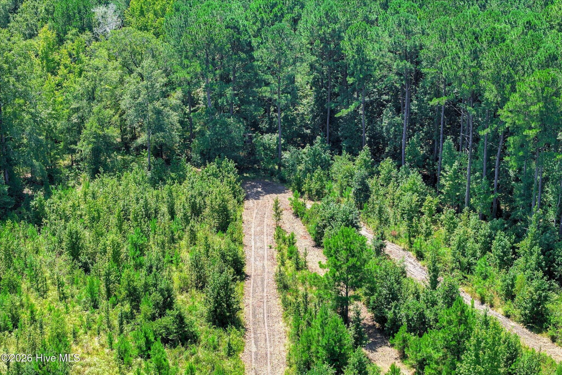 170 Landing Road Photo 57