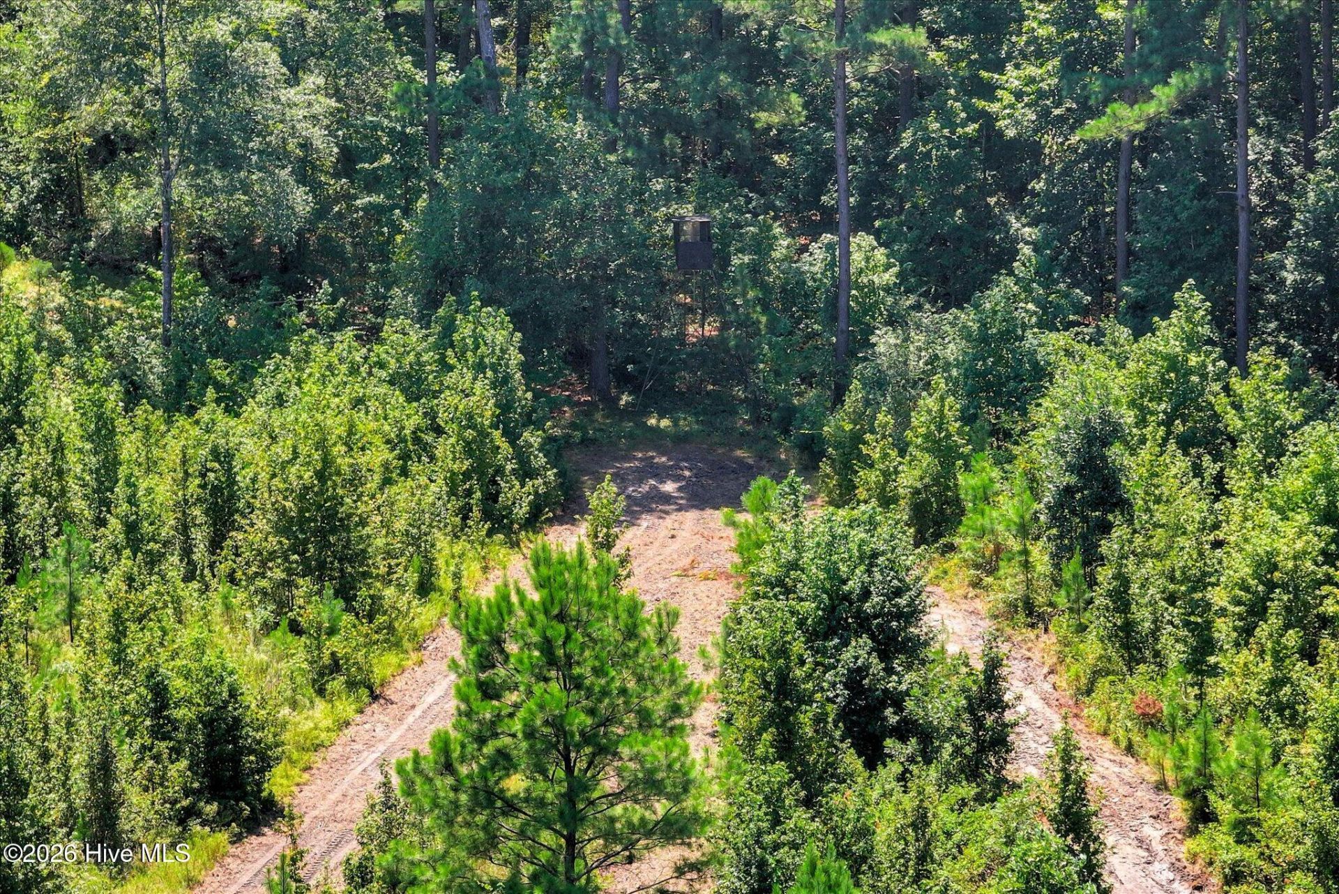 170 Landing Road Photo 59