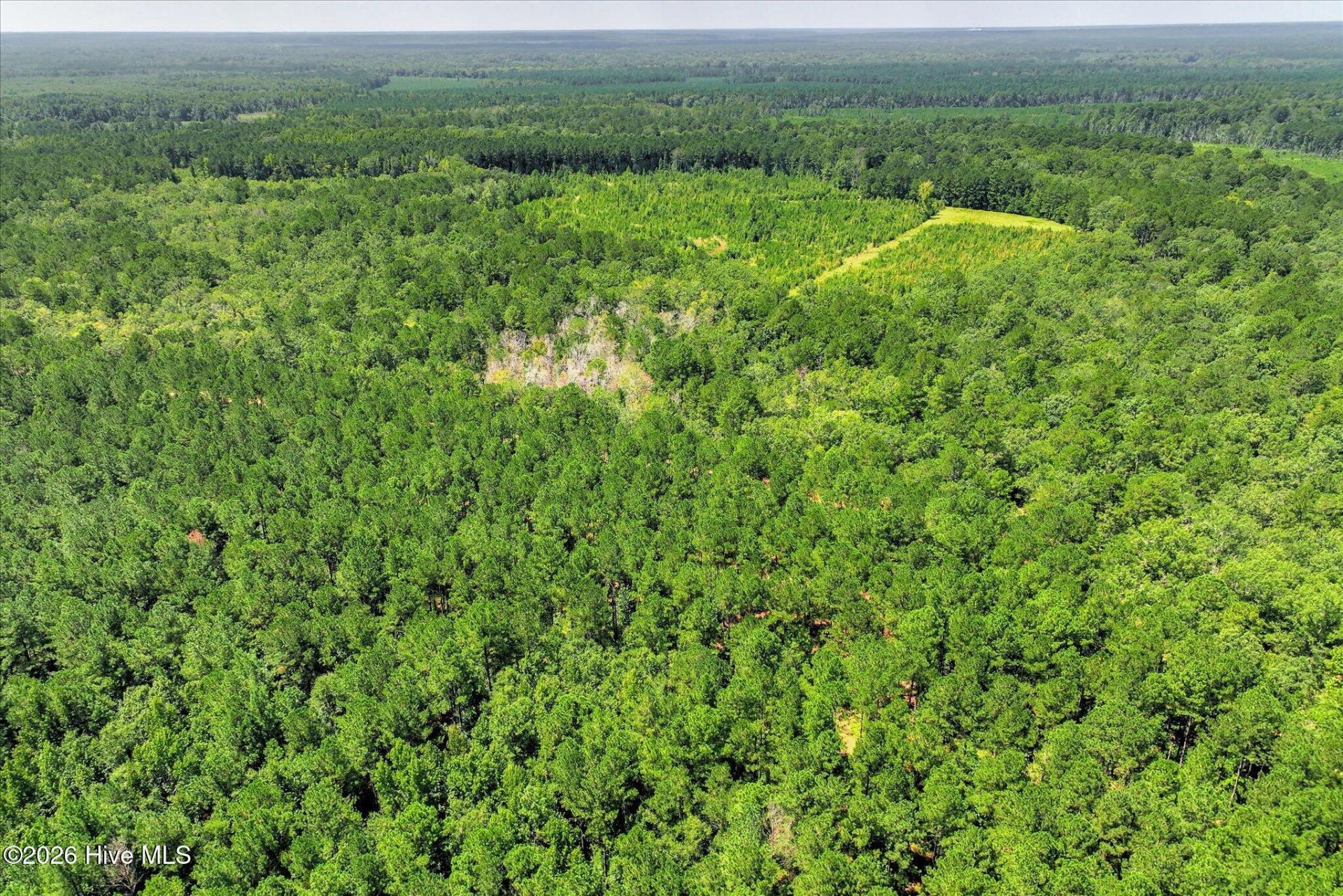 170 Landing Road Photo 71