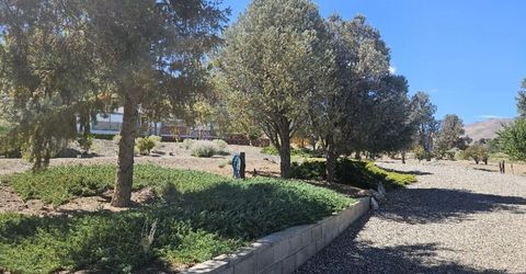 3715 Ballman Way, Wellington, NV 89444 Photo
