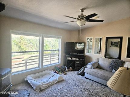 3715 Ballman Way, Wellington, NV 89444 Photo