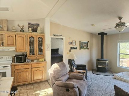3715 Ballman Way, Wellington, NV 89444 Photo