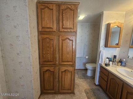 3715 Ballman Way, Wellington, NV 89444 Photo