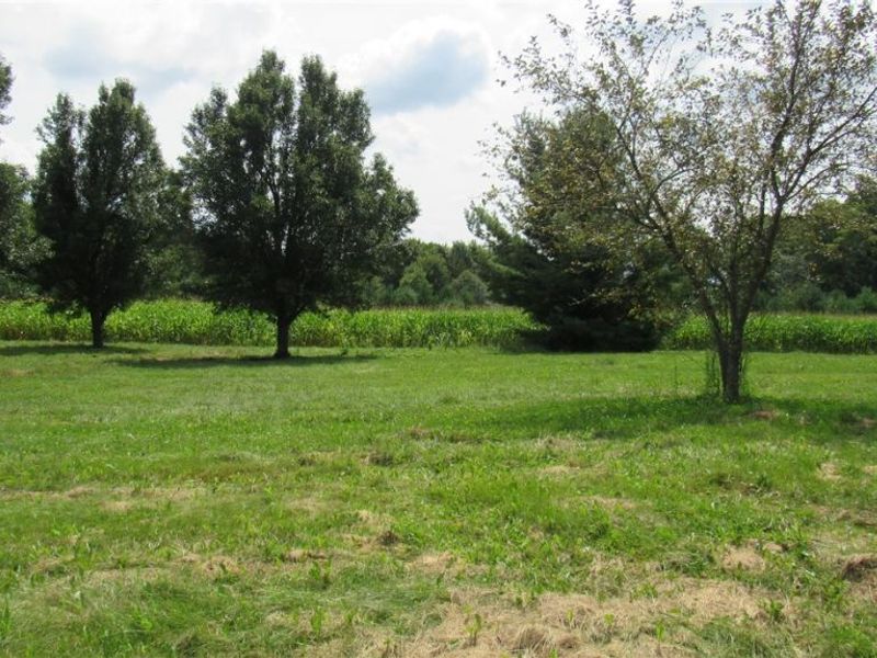 10295 Youngstown Salem Road, Salem, OH 44460 Photo 15