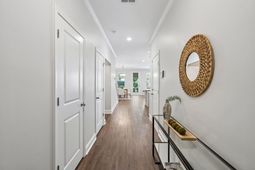 815 Porcari Street photo 4