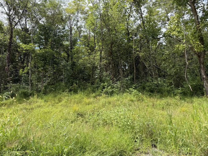 000 New Columbus Road, Corinth, KY 41010 Photo 10