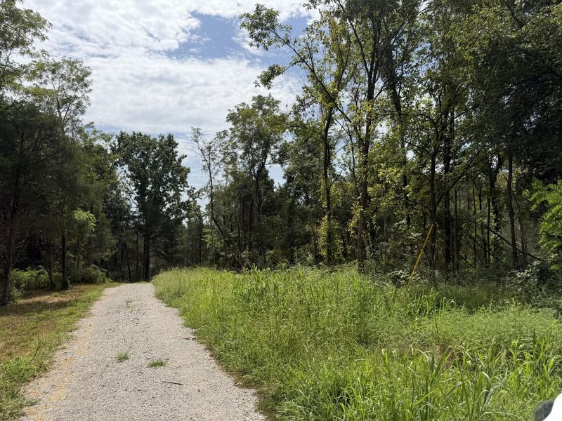 000 New Columbus Road, Corinth, KY 41010 Photo 11