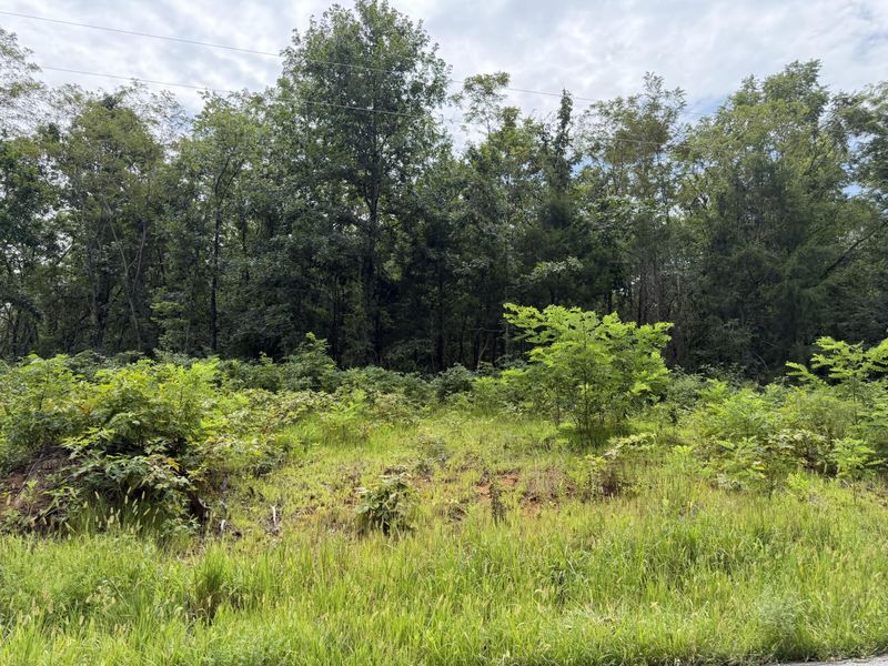 000 New Columbus Road, Corinth, KY 41010 Photo 12