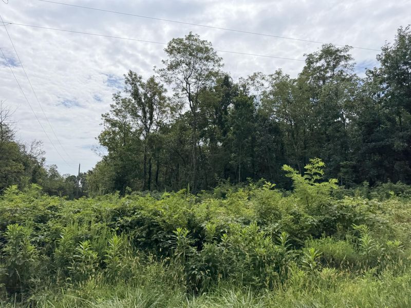 000 New Columbus Road, Corinth, KY 41010 Photo 14