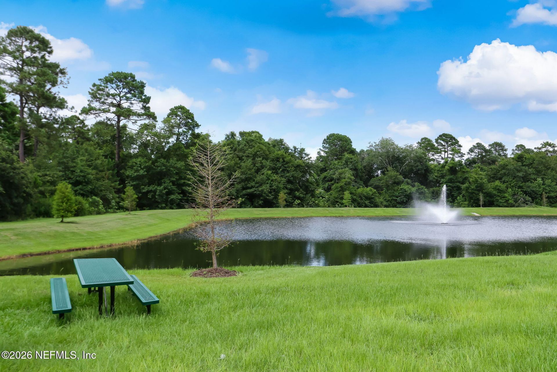 1608 Azalea Ridge Boulevard, Middleburg, FL 32068 Photo