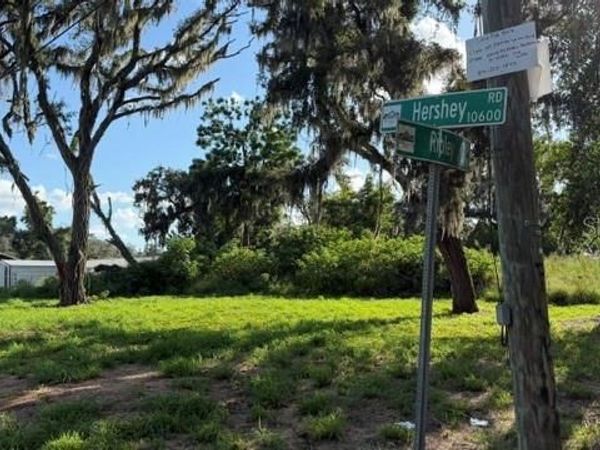 9323 RIPLEY ROAD , Unit B, THONOTOSASSA, FL 33592