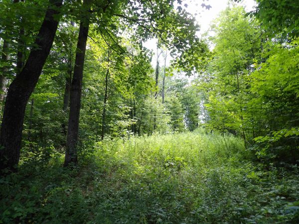 20 Center Street, Proctor, VT 05765