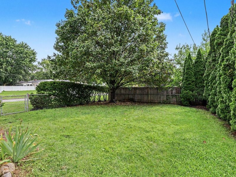 3435 Fox Run Road, Westerville, OH 43081 Photo 49
