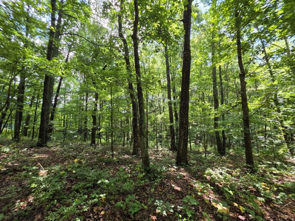 12 Valley View Drive , Unit 12, Altamont, TN 37301