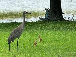 284 Evansdale Road, Lake Mary, FL 32746 Photo