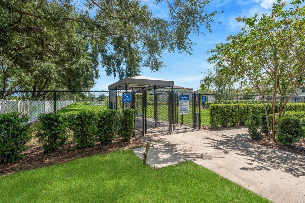 6033 Acara Lane , Land O Lakes, FL 34638 Photo