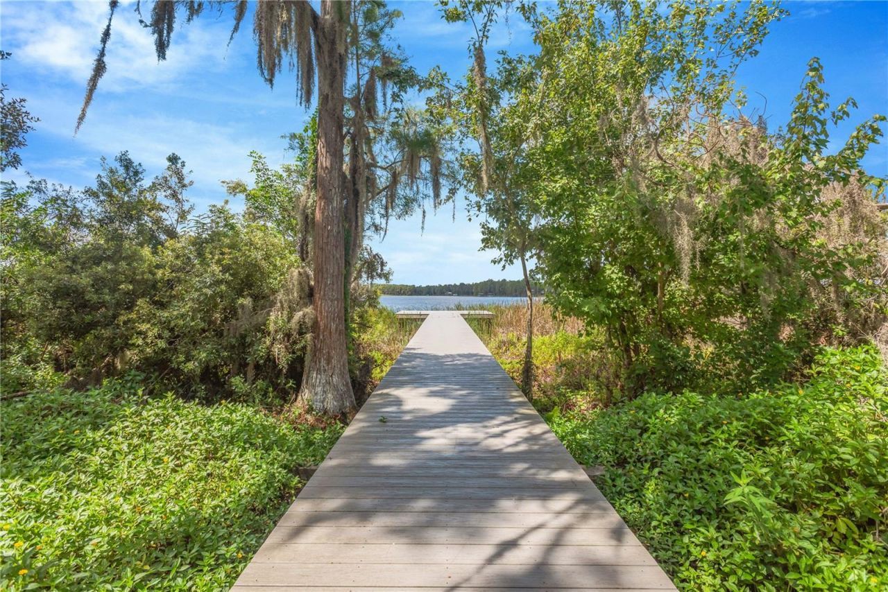 6033 Acara Lane , Land O Lakes, FL 34638 Photo