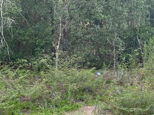 10860 N MATARO AVENUE , CITRUS SPRINGS, FL 34434