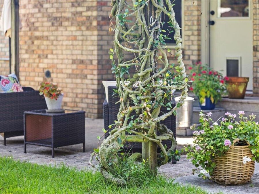 Property Image 47