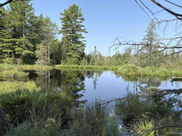 Pond 80 W off North Pointe RD Road, Onota Twp, MI 49822