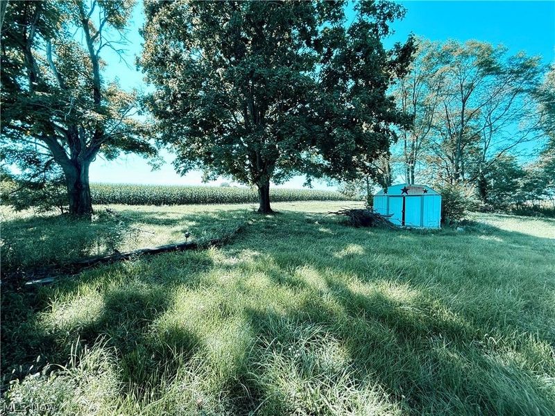 1445 Georgetown Damascus Road, Beloit, OH 44609 Photo 19