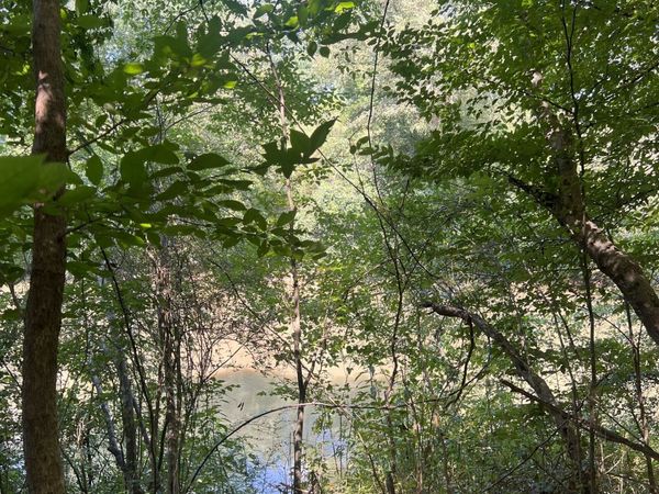 185 River Shoals Court, Covington, GA 30016