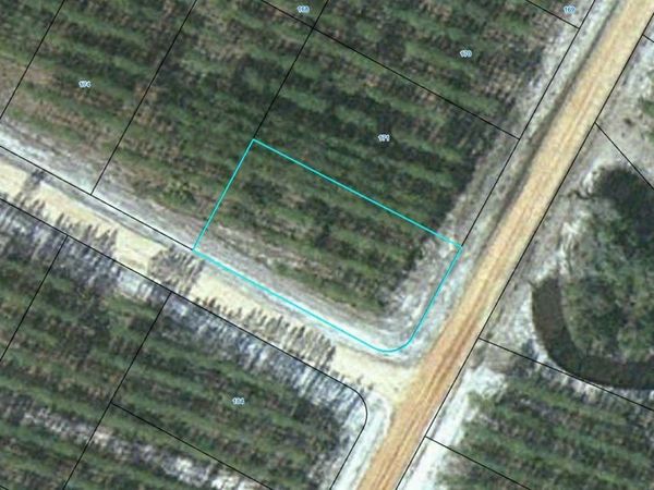 Lot 172 Satilla Plantation , Waynesville, GA 31566