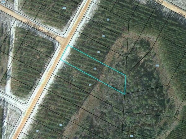Lot 92 Satilla Plantation , Waynesville, GA 31566