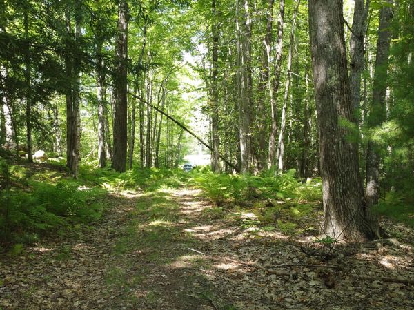 L52B & 52C Off Gammon Road , Limington, ME 04049