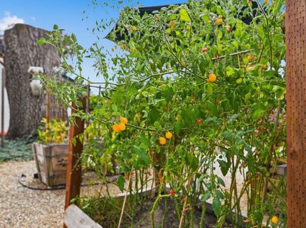 3010 Springburn Way, El Dorado Hills, CA 95762 Photo