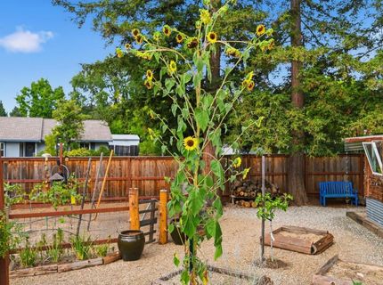3010 Springburn Way, El Dorado Hills, CA 95762 Photo