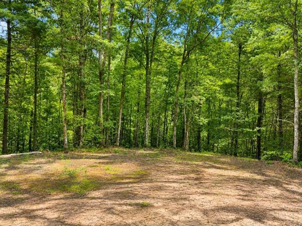 0 Wilderness Tr, Oneida, TN 37841