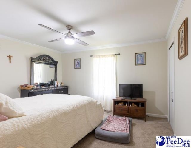 205 Cuttino Rd Photo 15